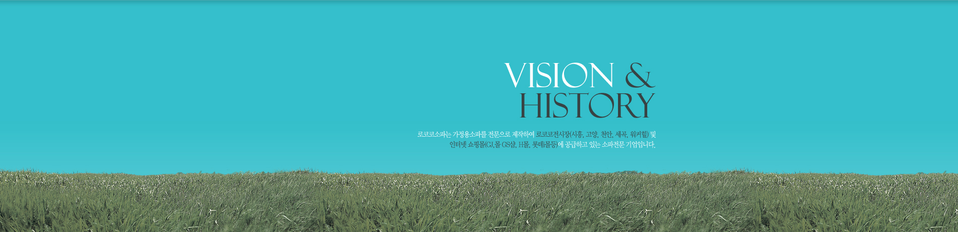 Vision & History 로코코소파는 가정용소파를 전문으로 제작하여 로코코전시장(시흥, 고양, 천안, 세곡, 워커힐) 및 
인터넷 쇼핑몰(CJ,몰 GS샵, H몰, 롯데i몰등)에 공급하고 있는 소파전문 기업입니다. 